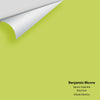 Digital color swatch of Benjamin Moore's Electric Slide 404 Peel & Stick Sample available at Ricciardi BRothers in PA, DE, & NJ.