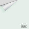 Digital color swatch of Benjamin Moore's Emerald Vapour 845 Peel & Stick Sample available at Ricciardi BRothers in PA, DE, & NJ.