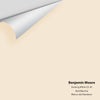 Digital color swatch of Benjamin Moore's Evening White 907 Peel & Stick Sample available at Ricciardi BRothers in PA, DE, & NJ.