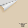 Digital color swatch of Benjamin Moore's Everlasting 1038 Peel & Stick Sample available at Ricciardi BRothers in PA, DE, & NJ.