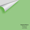 Digital color swatch of Benjamin Moore's Exotic Bloom 551 Peel & Stick Sample available at Ricciardi BRothers in PA, DE, & NJ.