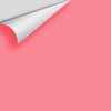 Digital color swatch of Benjamin Moore's Flamingo's Dream 2002-40 Peel & Stick Sample available at Ricciardi BRothers in PA, DE, & NJ.