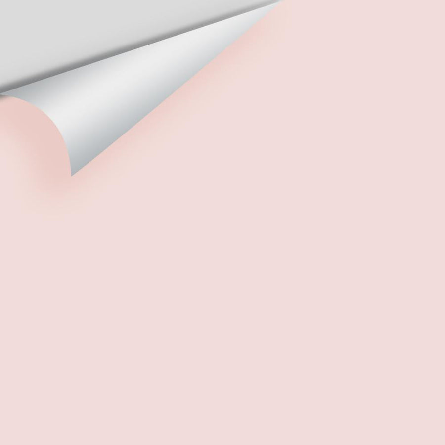 Digital color swatch of Benjamin Moore's Fairest Pink 2092-70 Peel & Stick Sample available at Ricciardi BRothers in PA, DE, & NJ.