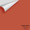 Digital color swatch of Benjamin Moore's Fire Dance 2171-20 Peel & Stick Sample available at Ricciardi BRothers in PA, DE, & NJ.