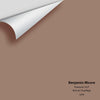 Digital color swatch of Benjamin Moore's Firewood 1027 Peel & Stick Sample available at Ricciardi BRothers in PA, DE, & NJ.