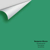 Digital color swatch of Benjamin Moore's Floradale Isle 581 Peel & Stick Sample available at Ricciardi BRothers in PA, DE, & NJ.