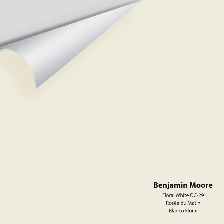 Digital color swatch of Benjamin Moore's Floral White OC-29 Peel & Stick Sample available at Ricciardi BRothers in PA, DE, & NJ.