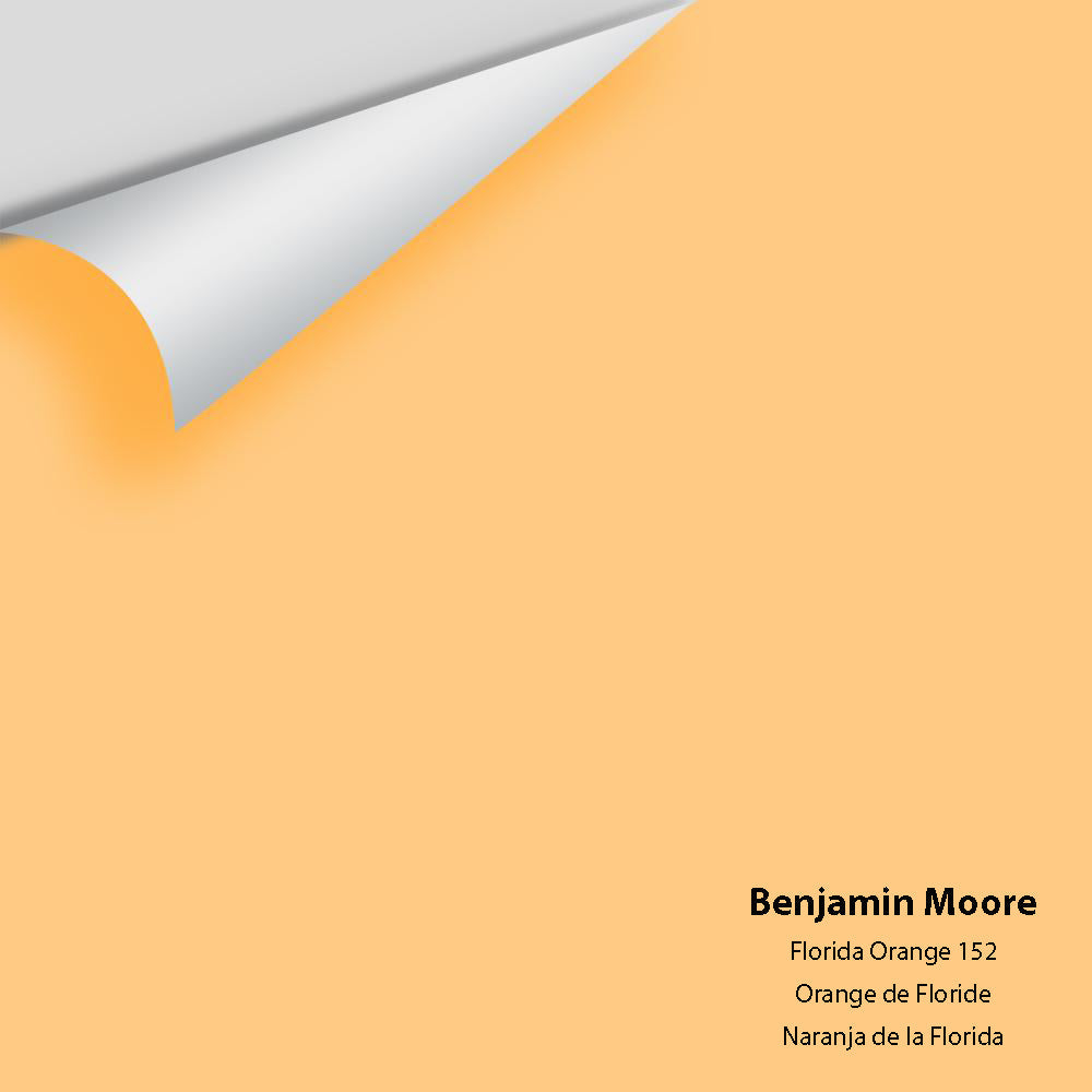 Digital color swatch of Benjamin Moore's Florida Orange 152 Peel & Stick Sample available at Ricciardi BRothers in PA, DE, & NJ.