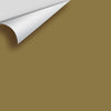 Digital color swatch of Benjamin Moore's Foot Hills 2148-10 Peel & Stick Sample available at Ricciardi BRothers in PA, DE, & NJ.