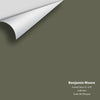 Digital color swatch of Benjamin Moore's Forest Floor CC-570 Peel & Stick Sample available at Ricciardi BRothers in PA, DE, & NJ.