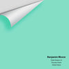 Digital color swatch of Benjamin Moore's Fresh Green 613 Peel & Stick Sample available at Ricciardi BRothers in PA, DE, & NJ.