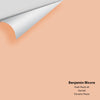 Digital color swatch of Benjamin Moore's Fresh Peach 60 Peel & Stick Sample available at Ricciardi BRothers in PA, DE, & NJ.