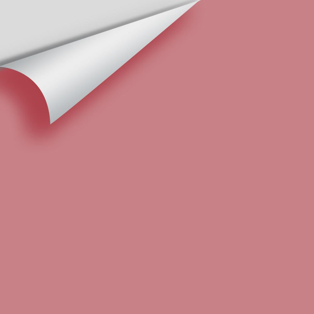 Digital color swatch of Benjamin Moore's Genuine Pink 2005-40 Peel & Stick Sample available at Ricciardi BRothers in PA, DE, & NJ.