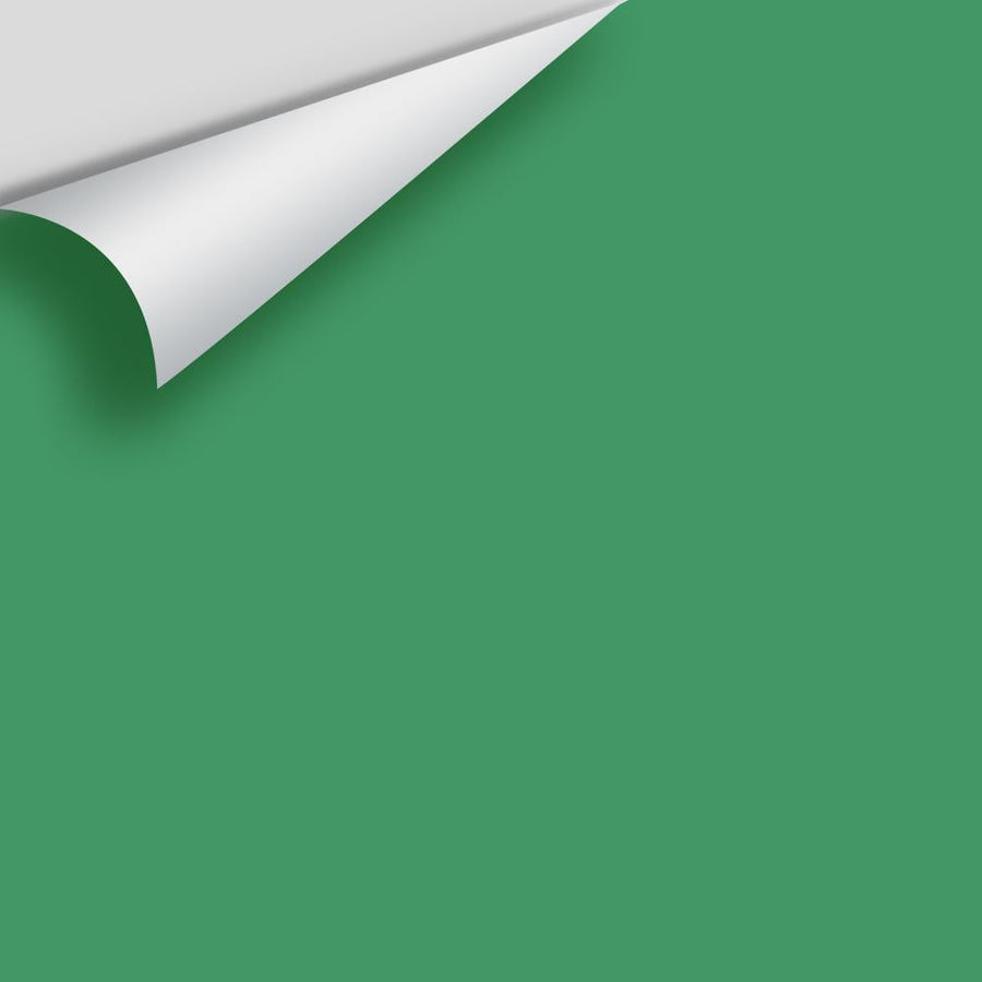 Digital color swatch of Benjamin Moore's Green with Envy 2036-30 Peel & Stick Sample available at Ricciardi BRothers in PA, DE, & NJ.