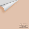 Digital color swatch of Benjamin Moore's Georgetown Pink Beige HC-56 Peel & Stick Sample available at Ricciardi BRothers in PA, DE, & NJ.