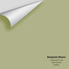 Digital color swatch of Benjamin Moore's Grasslands CC-590 Peel & Stick Sample available at Ricciardi BRothers in PA, DE, & NJ.