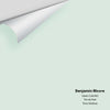 Digital color swatch of Benjamin Moore's Green Cast 842 Peel & Stick Sample available at Ricciardi BRothers in PA, DE, & NJ.