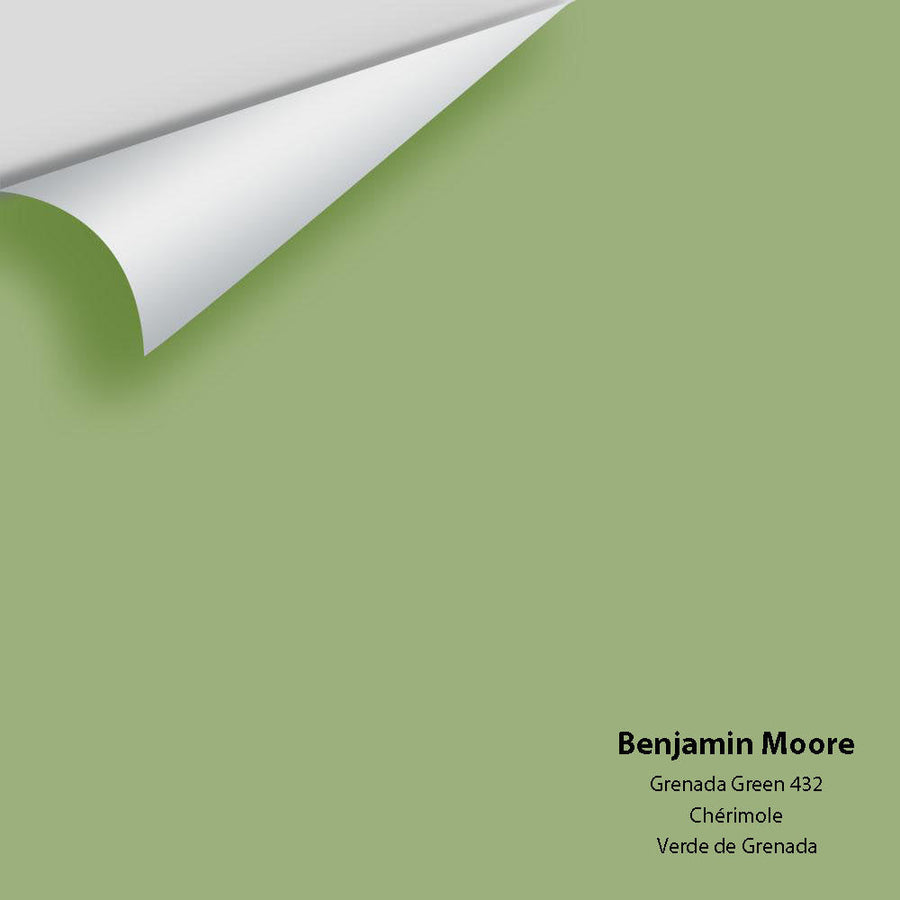Digital color swatch of Benjamin Moore's Grenada Green 432 Peel & Stick Sample available at Ricciardi BRothers in PA, DE, & NJ.