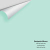 Digital color swatch of Benjamin Moore's Hannity Green 646 Peel & Stick Sample available at Ricciardi BRothers in PA, DE, & NJ.