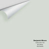 Digital color swatch of Benjamin Moore's Healing Aloe 1562 Peel & Stick Sample available at Ricciardi BRothers in PA, DE, & NJ.