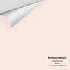 Digital color swatch of Benjamin Moore's Hint of Pink 884 Peel & Stick Sample available at Ricciardi BRothers in PA, DE, & NJ.