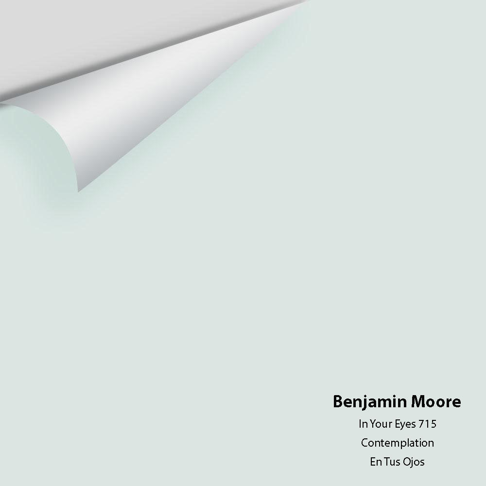 Digital color swatch of Benjamin Moore's In Your Eyes 715 Peel & Stick Sample available at Ricciardi BRothers in PA, DE, & NJ.