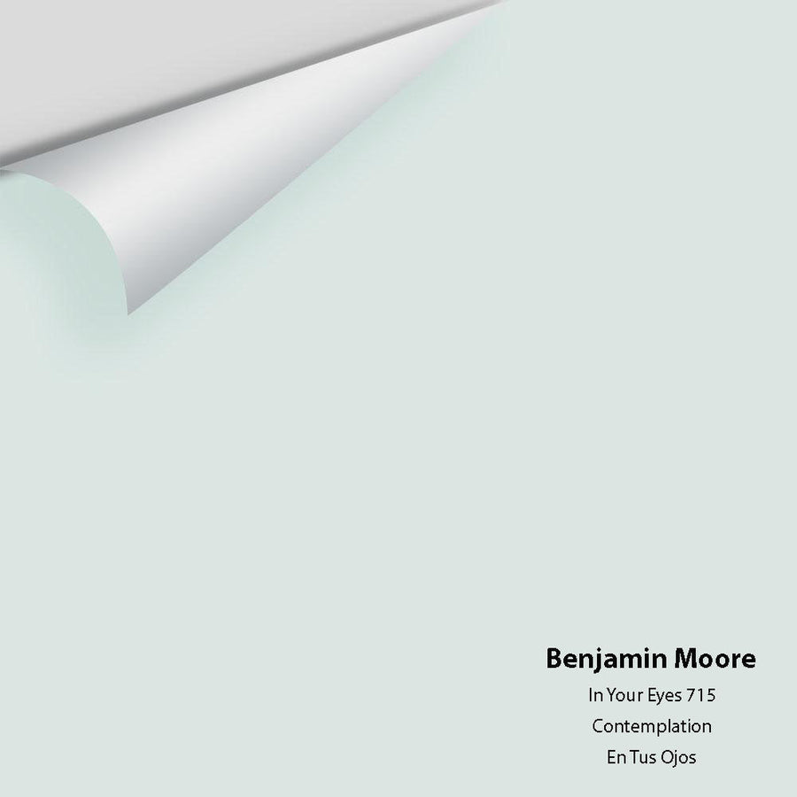 Digital color swatch of Benjamin Moore's In Your Eyes 715 Peel & Stick Sample available at Ricciardi BRothers in PA, DE, & NJ.