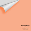 Digital color swatch of Benjamin Moore's Intense Peach 81 Peel & Stick Sample available at Ricciardi BRothers in PA, DE, & NJ.