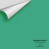 Digital color swatch of Benjamin Moore's Island Getaway 593 Peel & Stick Sample available at Ricciardi BRothers in PA, DE, & NJ.