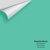 Digital color swatch of Benjamin Moore's Island Paradise 606 Peel & Stick Sample available at Ricciardi BRothers in PA, DE, & NJ.