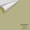 Digital color swatch of Benjamin Moore's Ivy Lane 523 Peel & Stick Sample available at Ricciardi BRothers in PA, DE, & NJ.