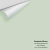 Digital color swatch of Benjamin Moore's Jack and the Beanstalk 442 Peel & Stick Sample available at Ricciardi BRothers in PA, DE, & NJ.