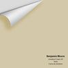 Digital color swatch of Benjamin Moore's Jonesboro Cream 241 Peel & Stick Sample available at Ricciardi BRothers in PA, DE, & NJ.