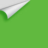 Digital color swatch of Benjamin Moore's Lucky Charm Green 2030-30 Peel & Stick Sample available at Ricciardi BRothers in PA, DE, & NJ.