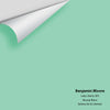 Digital color swatch of Benjamin Moore's Lady Liberty 585 Peel & Stick Sample available at Ricciardi BRothers in PA, DE, & NJ.