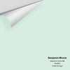 Digital color swatch of Benjamin Moore's Lakeshore Green 848 Peel & Stick Sample available at Ricciardi BRothers in PA, DE, & NJ.