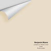 Digital color swatch of Benjamin Moore's Lambskin 1051 Peel & Stick Sample available at Ricciardi BRothers in PA, DE, & NJ.