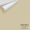 Digital color swatch of Benjamin Moore's Laurel Canyon Beige 242 Peel & Stick Sample available at Ricciardi BRothers in PA, DE, & NJ.