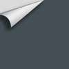 Digital color swatch of Benjamin Moore's Lead Gray 2131-30 Peel & Stick Sample available at Ricciardi BRothers in PA, DE, & NJ.
