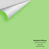 Digital color swatch of Benjamin Moore's Leprechaun Green 557 Peel & Stick Sample available at Ricciardi BRothers in PA, DE, & NJ.