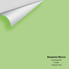 Digital color swatch of Benjamin Moore's Lime Twist 425 Peel & Stick Sample available at Ricciardi BRothers in PA, DE, & NJ.