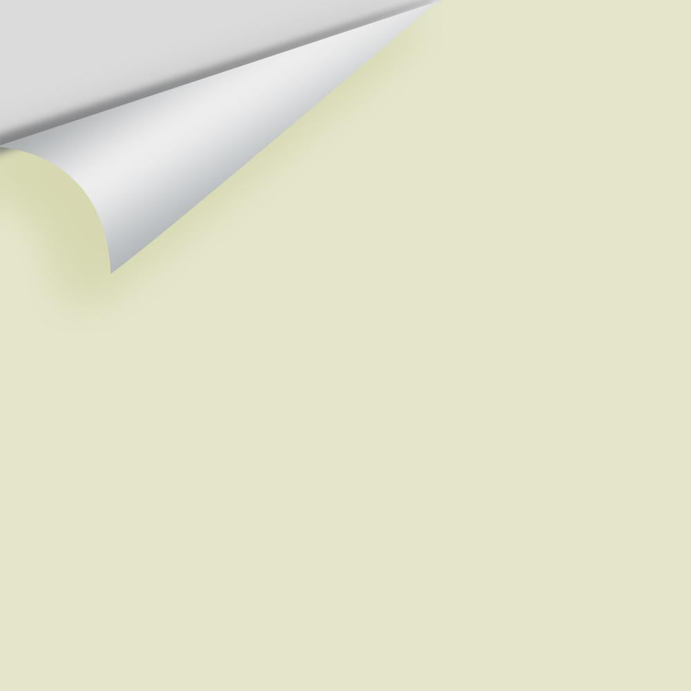 Digital color swatch of Benjamin Moore's Limesicle 2145-50 Peel & Stick Sample available at Ricciardi BRothers in PA, DE, & NJ.