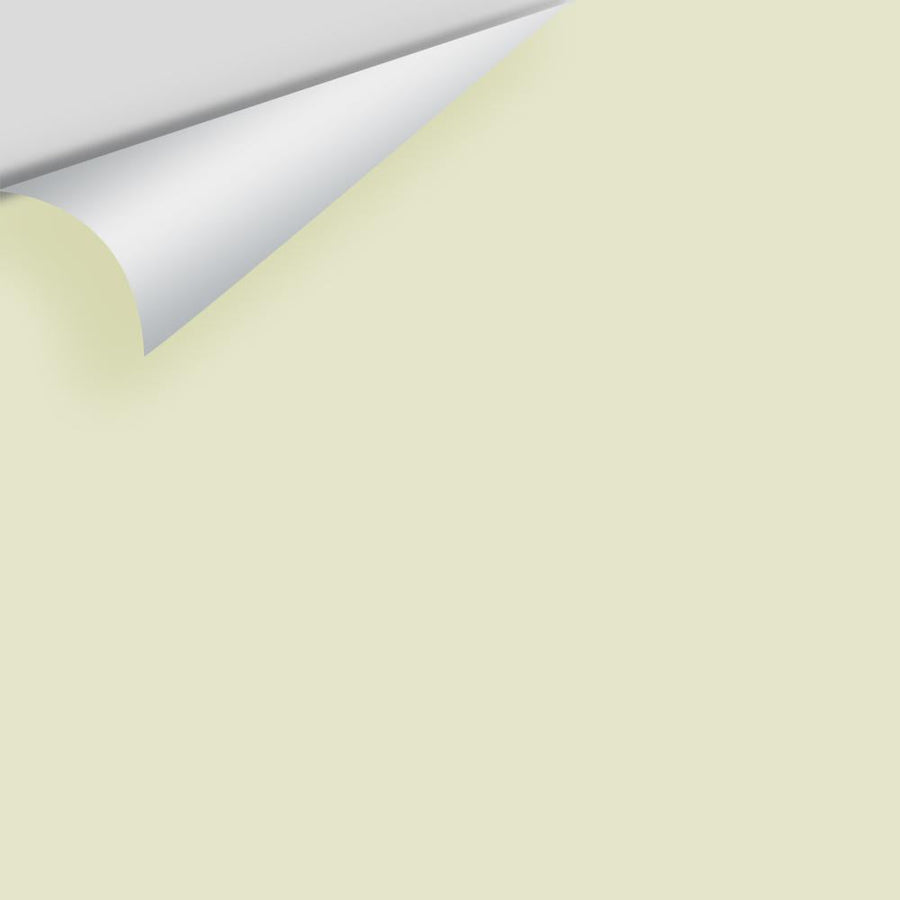 Digital color swatch of Benjamin Moore's Limesicle 2145-50 Peel & Stick Sample available at Ricciardi BRothers in PA, DE, & NJ.