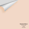 Digital color swatch of Benjamin Moore's Love Always 896 Peel & Stick Sample available at Ricciardi BRothers in PA, DE, & NJ.