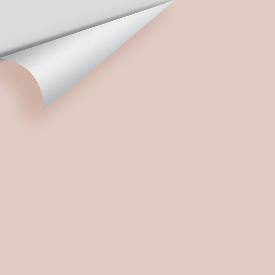 Digital color swatch of Benjamin Moore's Malted Milk 2099-60 Peel & Stick Sample available at Ricciardi BRothers in PA, DE, & NJ.