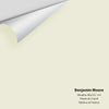 Digital color swatch of Benjamin Moore's Meadow Mist OC-134 Peel & Stick Sample available at Ricciardi BRothers in PA, DE, & NJ.