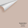 Digital color swatch of Benjamin Moore's Meadow Pink 1011 Peel & Stick Sample available at Ricciardi BRothers in PA, DE, & NJ.