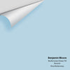 Digital color swatch of Benjamin Moore's Mediterranean Breeze 799 Peel & Stick Sample available at Ricciardi BRothers in PA, DE, & NJ.