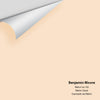 Digital color swatch of Benjamin Moore's Melon Ice 106 Peel & Stick Sample available at Ricciardi BRothers in PA, DE, & NJ.