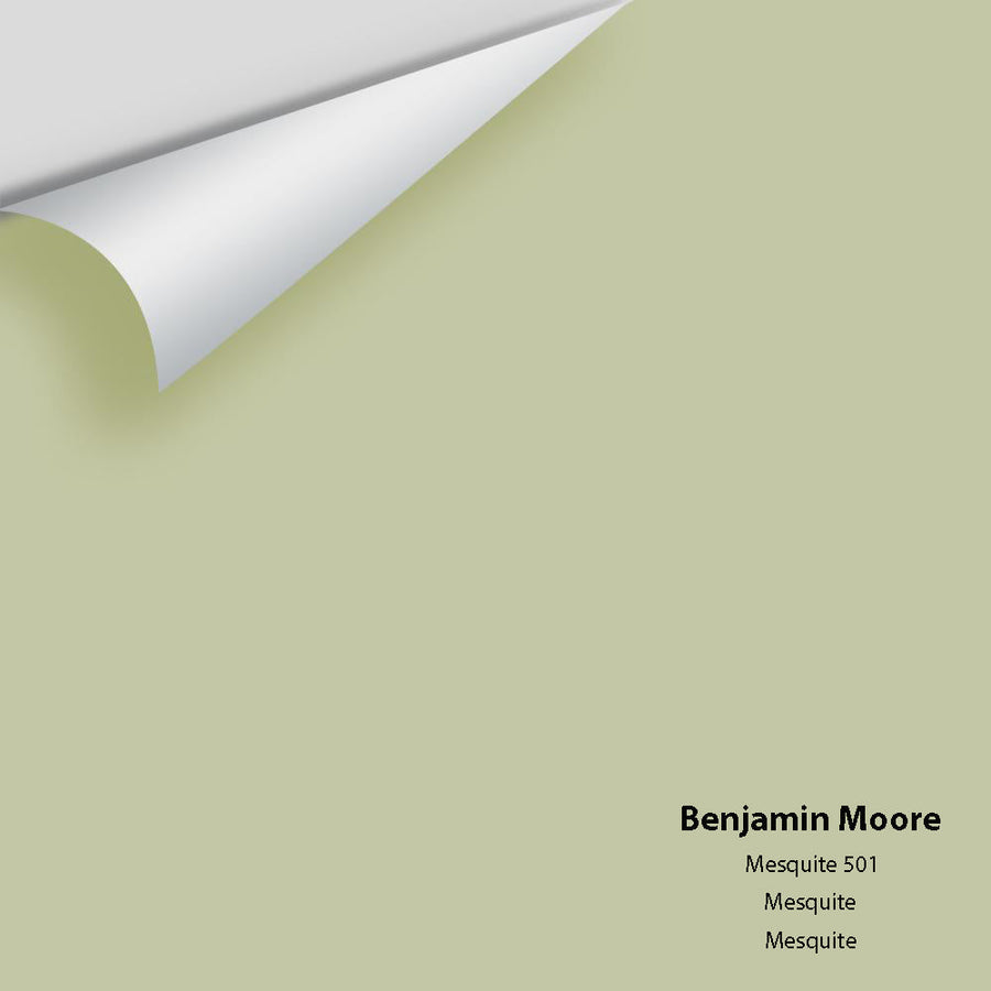Digital color swatch of Benjamin Moore's Mesquite 501 Peel & Stick Sample available at Ricciardi BRothers in PA, DE, & NJ.